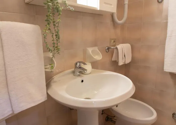 Hotel Benacus 3*